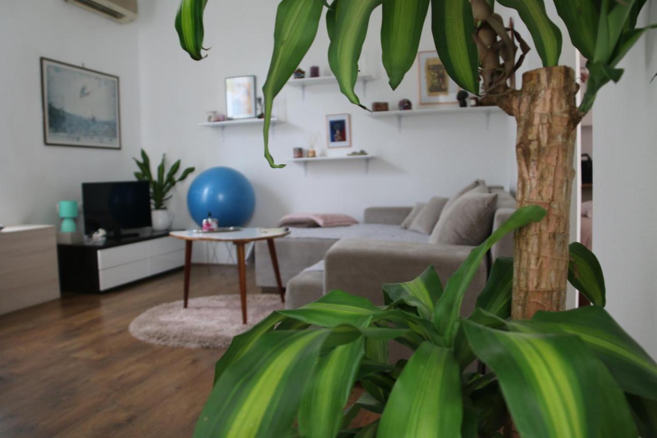Cosy Apartment - 10 Minutes Walk To Sea Zadar Exterior foto